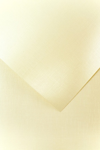 [6029E] Carton carti vizita Satin grosime-220g/m2